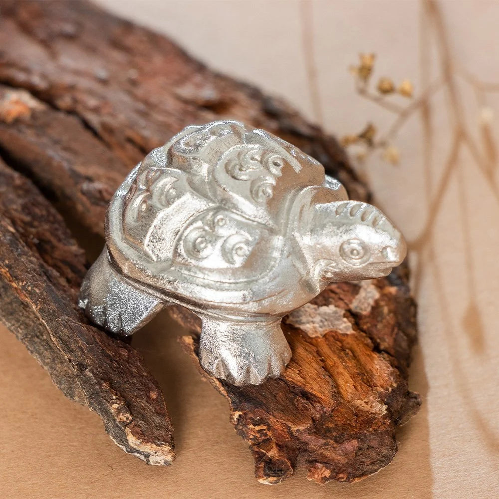 Mercury-Tortoise-3.webp
