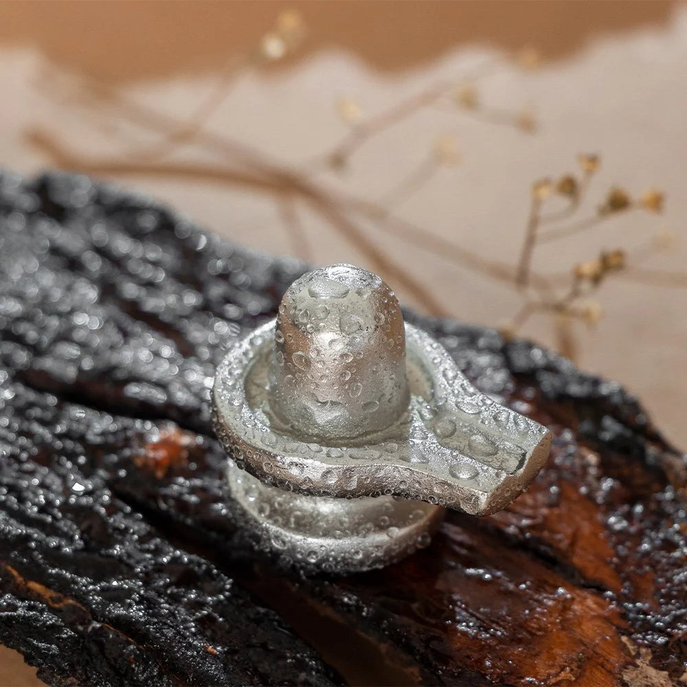 Mercury-Shivalingam-1.webp